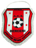 Fanion forma speciala 14
